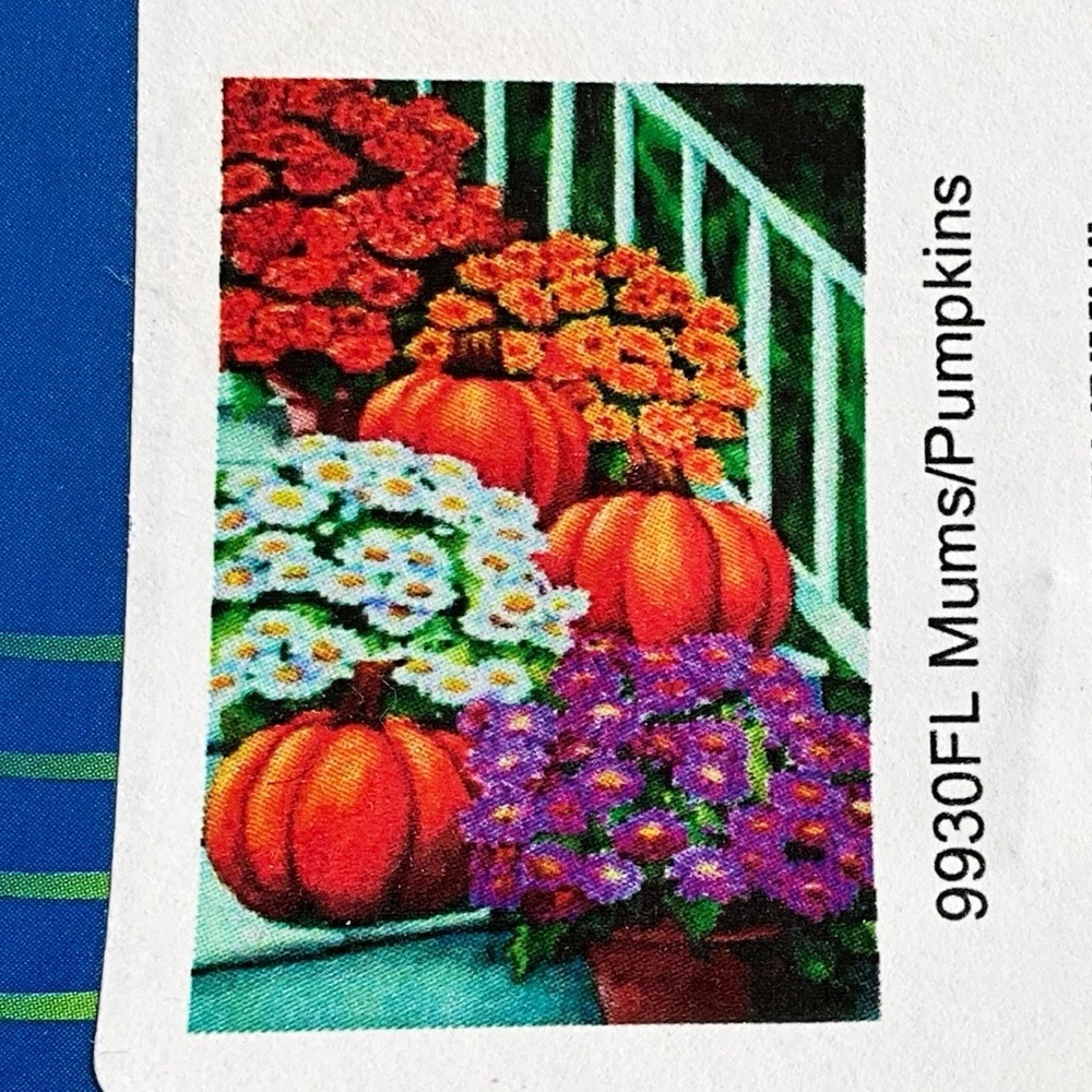 IN PACKAGE Custom Decor Inc Pumpkins and Mums Large House Flag